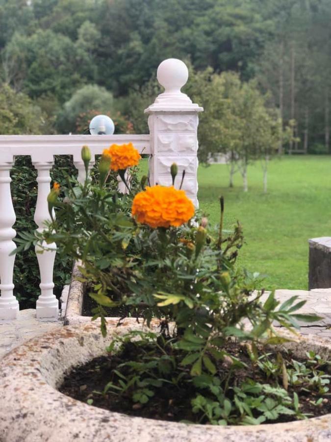 Saraj Guest House Kulen Vakuf Bagian luar foto
